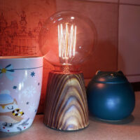 Піраміда сосна напівтемна